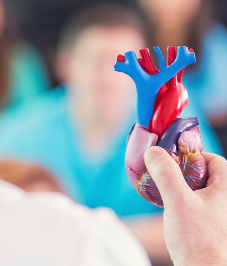 Why Is My Heart Beating So Hard? Irregular Heart Rates.