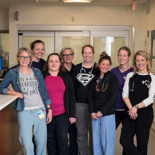 Supporting Nurses, Strengthening Care