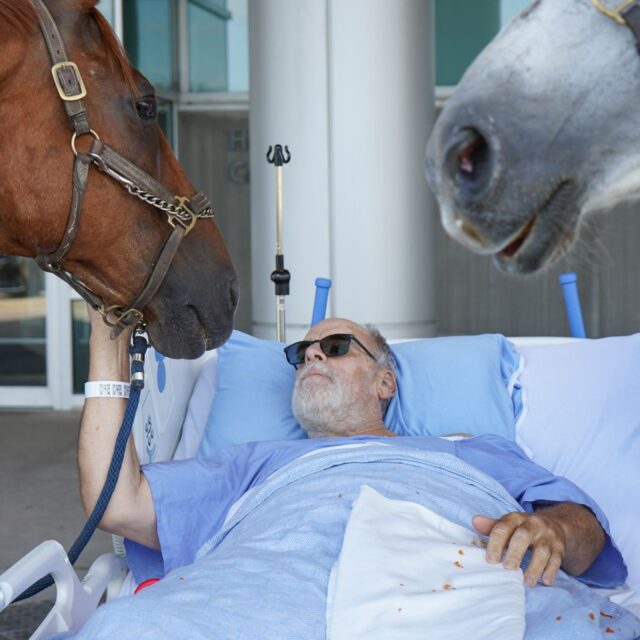 A Moment of Comfort and Connection in Palliative Care