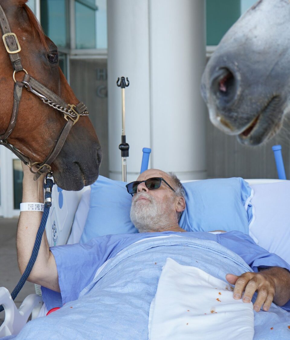 A Moment of Comfort and Connection in Palliative Care