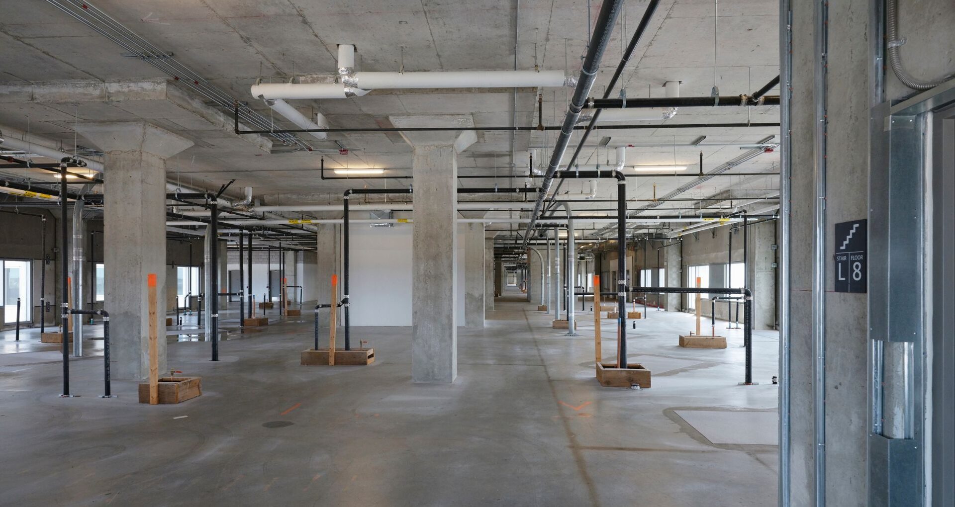 Homepage SHelled space video thumbnail