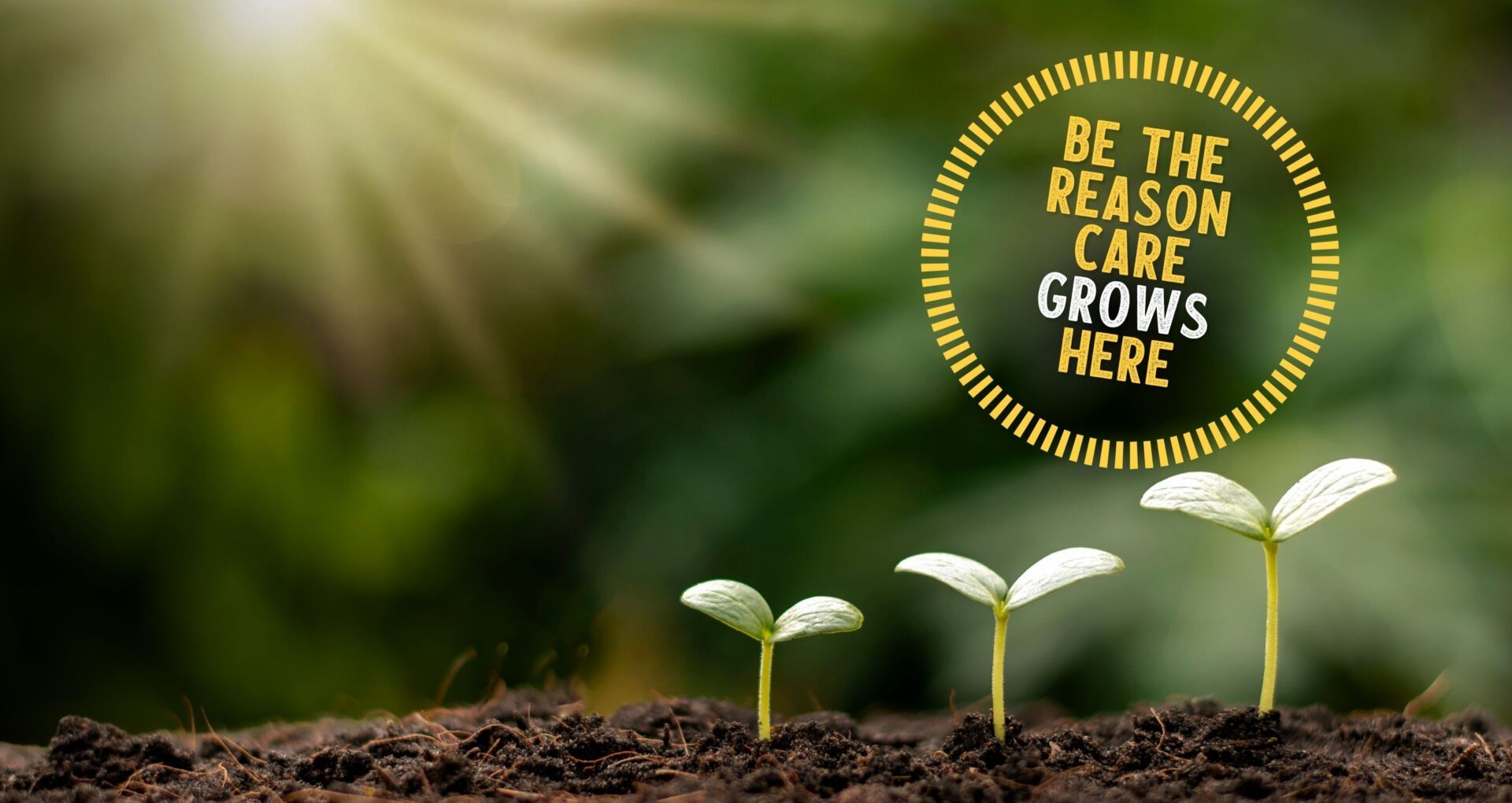 Time to Grow 